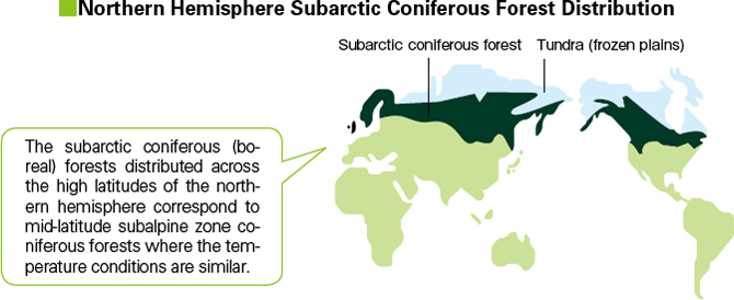 Northern Hemisphere Subarctic Coniferous Forest Distribution